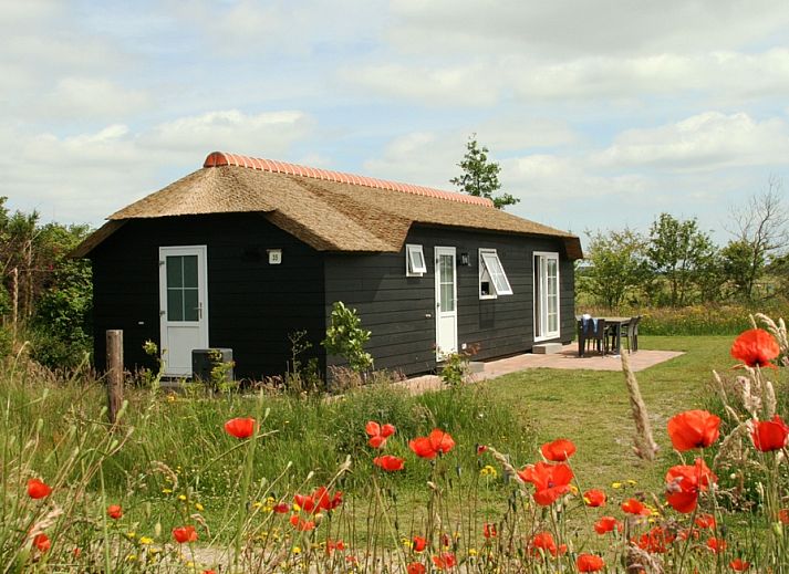 Guest house 0113348 - Holiday property Texel - Bremakker Akkerveld Boerderijchalet
