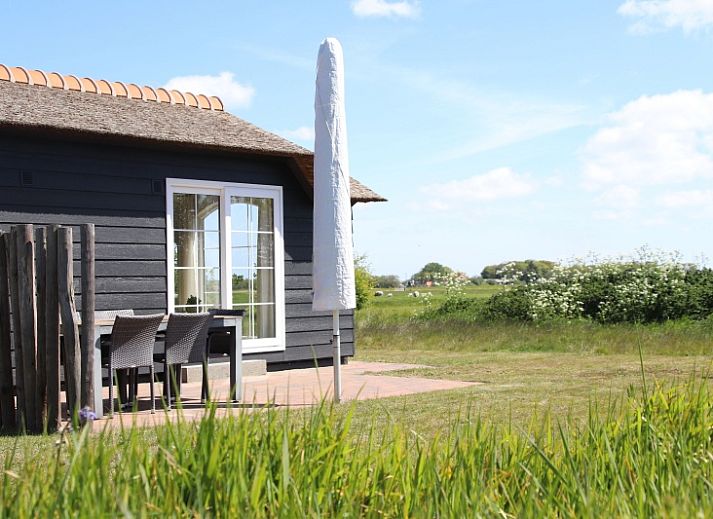 Guest house 0113348 - Holiday property Texel - Bremakker Akkerveld Boerderijchalet