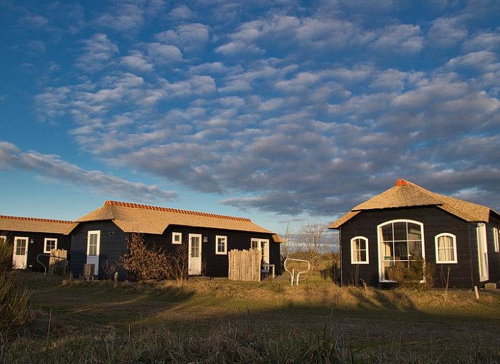Guest house 0113348 - Holiday property Texel - Bremakker Akkerveld Boerderijchalet