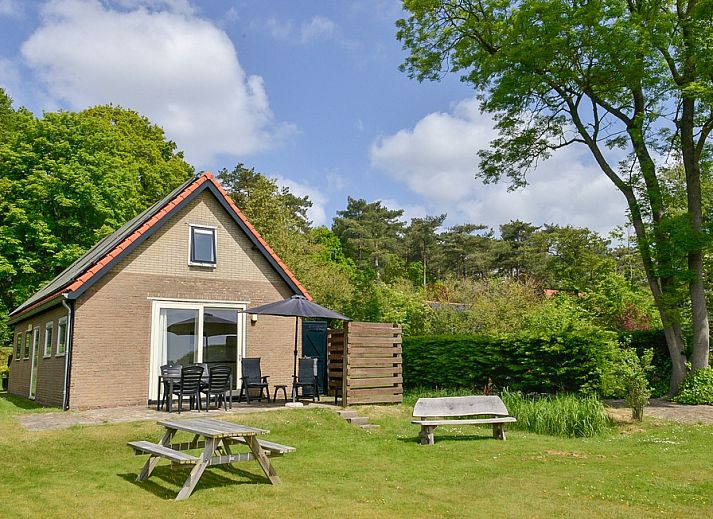 Vakantiehuis Turel in De Dennen, Texel met zonnig terras en groene omgeving.
