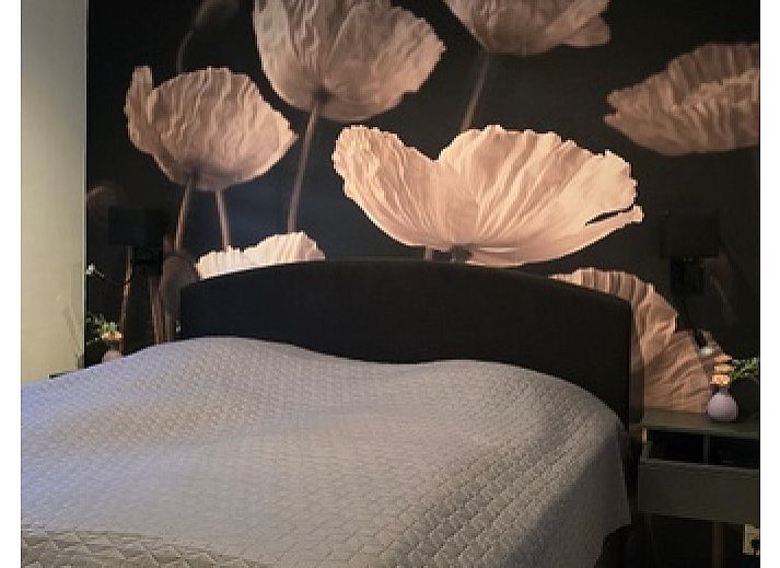 Helianthus-Ferienhaus in De Dennen Texel mit grosser Veranda und Balkon zum Entspannen in der Natur.