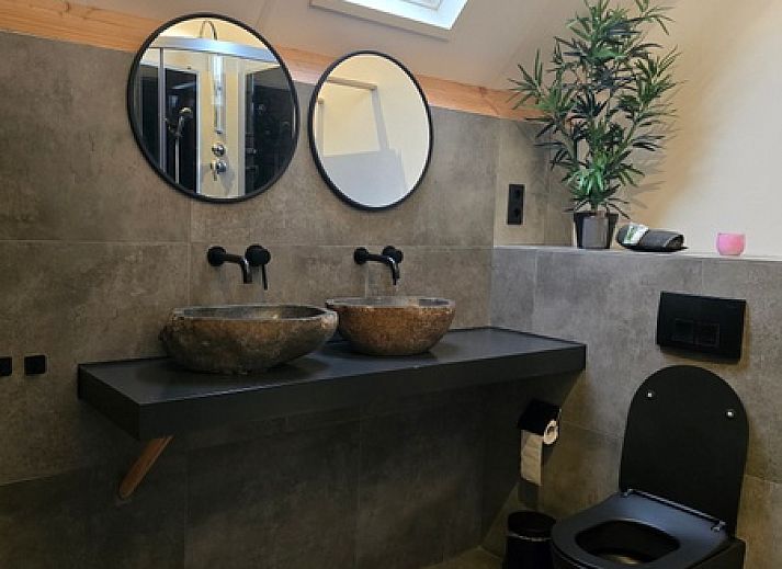 Helianthus Unterkunft in De Dennen Texel mit Blick auf Pferdeweiden fuer eine laendliche Erfahrung.