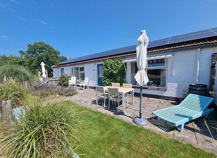 Ferienhaus mit Waldblick in De Dennen Texel mit Blick auf die ueppige Natur und den blauen Himmel.