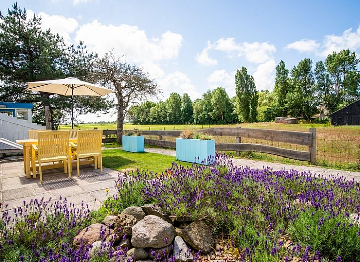 Ferienhaus mit Waldblick in De Dennen Texel mit Blick auf die ueppige Natur und den blauen Himmel.