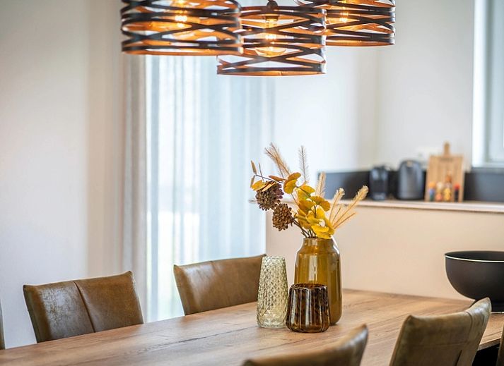 Ferienpark De Koorn-aar Villa in De Dennen, Texel mit moderner Terrasse und gruener Umgebung.