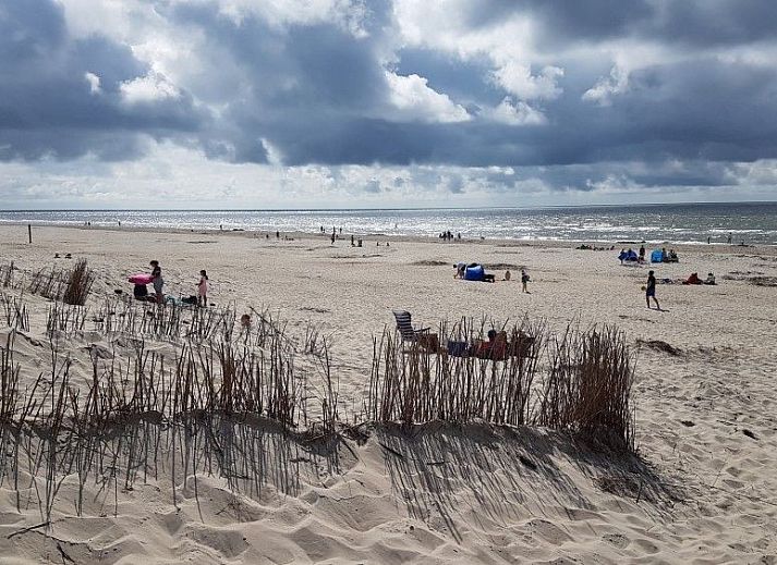 Achtertuin van Villata, Texel met terras en picknicktafel in De Cocksdorp.