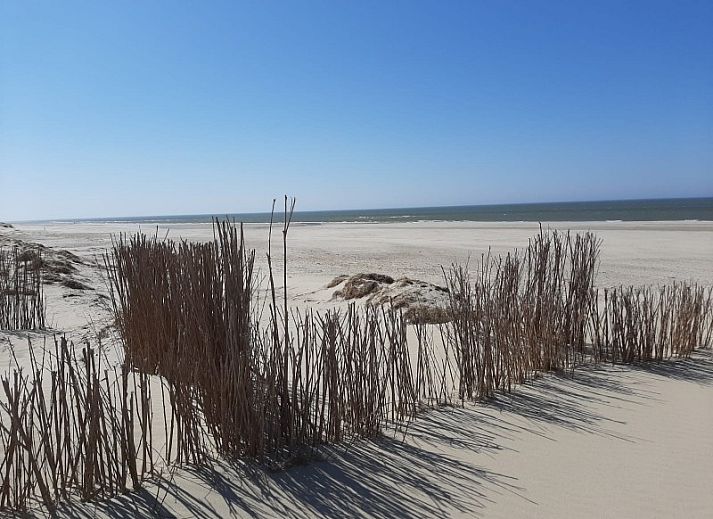 Villata vakantiehuis Texel met zonovergoten terras en groene omgeving.