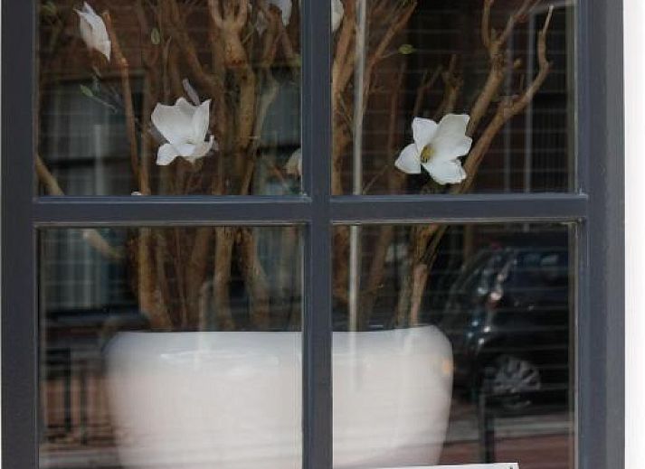 Gemuetliches Wohnzimmer mit Retrotapete in Stadslogement By Peek, Sneek, Friesland.