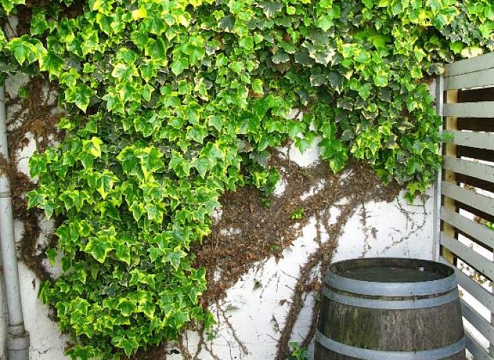 Verblijf 013947 - Vakantie appartement Zuid Limburg - Hotel Trash Deluxe