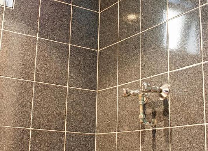 Unterkunft 0151127 - Appartement Amsterdam eo - Hotel Torenzicht