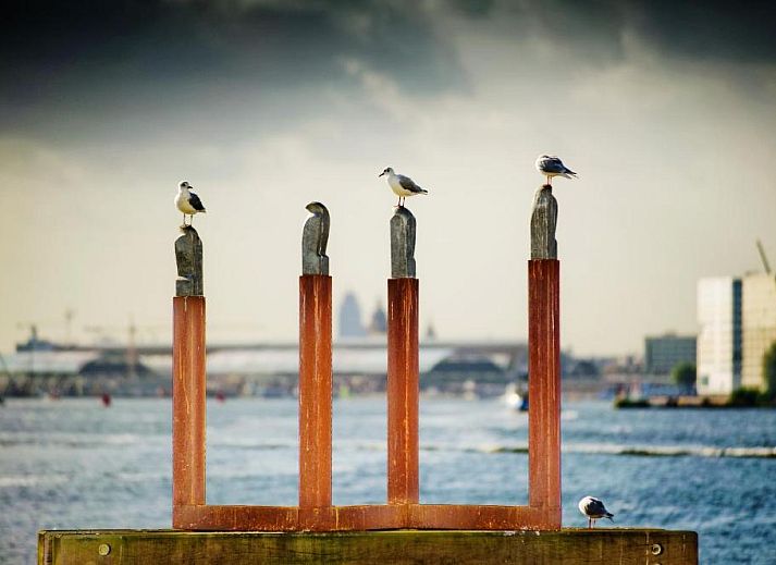 Guest house 0151142 - Apartment Amsterdam eo - Botel