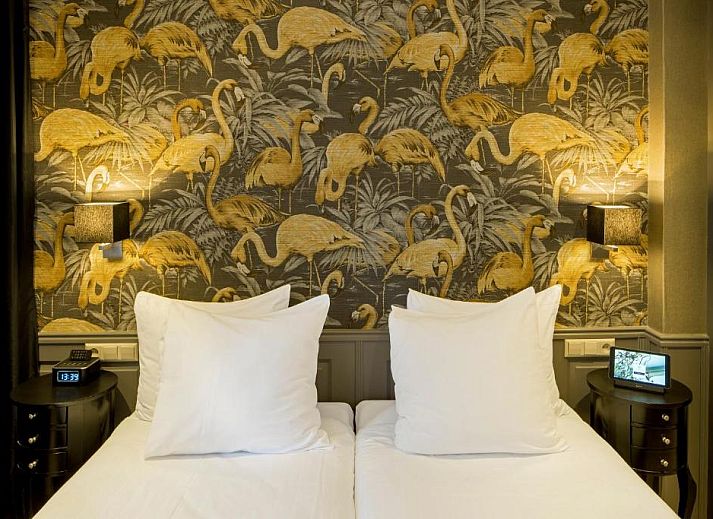 Guest house 0151190 - Apartment Amsterdam eo - Hotel Sint Nicolaas