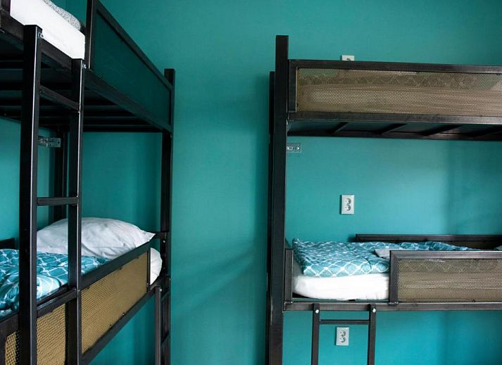 Unterkunft 0151291 - Appartement Amsterdam eo - Amsterdam Hostel Leidseplein