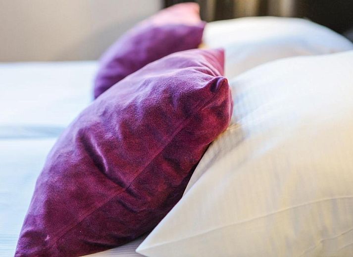 Guest house 015132 - Apartment Amsterdam eo - Hotel De Looier