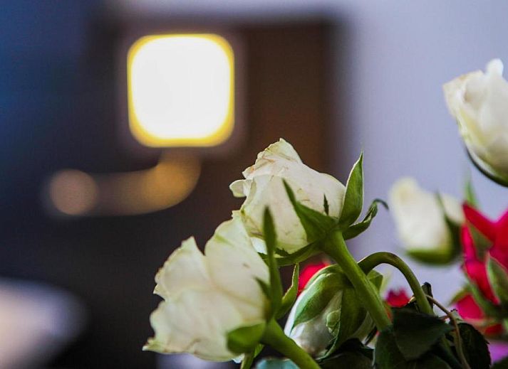 Guest house 015132 - Apartment Amsterdam eo - Hotel De Looier