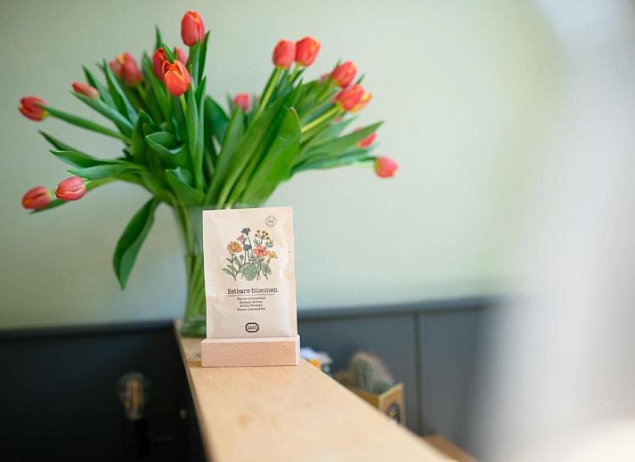 Unterkunft 015136 - Appartement Amsterdam eo - Hotel La Bohème