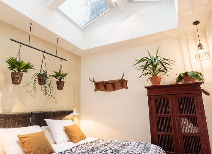 Guest house 0151539 - Apartment Amsterdam eo - Hotel Dwars