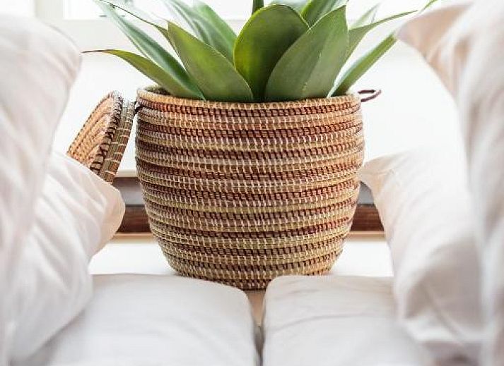 Guest house 0151539 - Apartment Amsterdam eo - Hotel Dwars