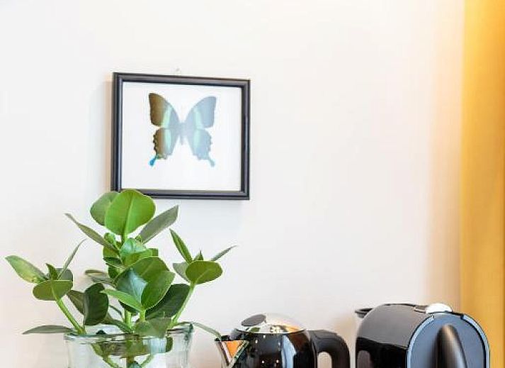 Guest house 0151539 - Apartment Amsterdam eo - Hotel Dwars