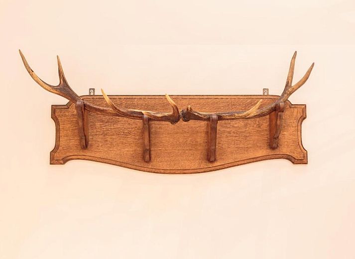 Guest house 0151539 - Apartment Amsterdam eo - Hotel Dwars