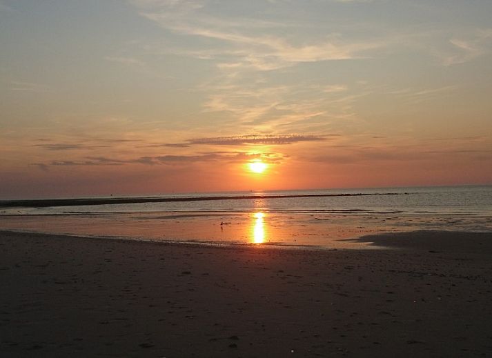 De Hagedis glamping lodge in Oost-Vlieland met terras en blauwe parasol tussen de duinen, Vlieland, Waddeneilanden.