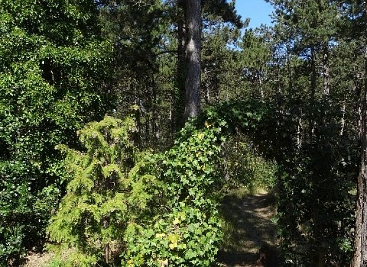Moderne woonkamer van Studio Arma, vakantieverblijf in Oost-Vlieland. Comfortabele binnenruimte op de Waddeneilanden.
