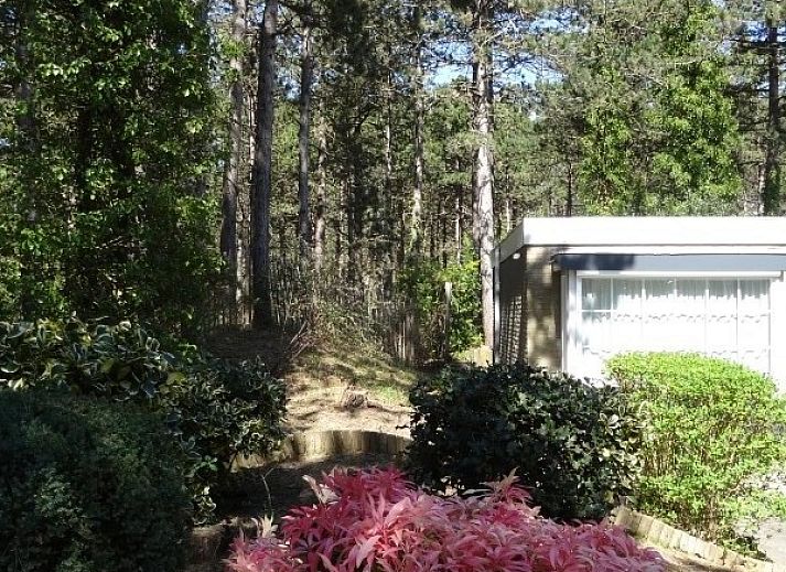 Moderne woonkamer van Studio Arma, vakantieverblijf in Oost-Vlieland. Comfortabele binnenruimte op de Waddeneilanden.