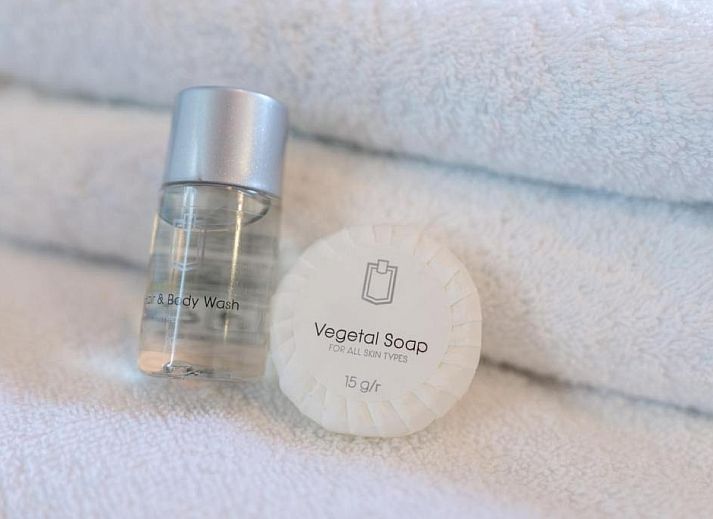 Aussenansicht des Hotels Orion, Ferienwohnung in Rotterdam, Suedholland, mit Fahnen und Backsteinfassade.