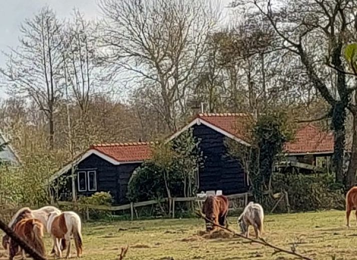 De Trekvogels vakantiehuis in Formerum, Terschelling met zonnige veranda en tuin op de Waddeneilanden.