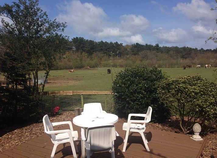 Rustieke omgeving van De Trekvogels vakantiehuis in Formerum, Terschelling met grazende paarden.