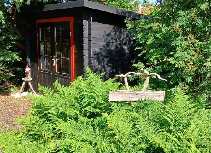 Rustieke omgeving van De Trekvogels vakantiehuis in Formerum, Terschelling met grazende paarden.