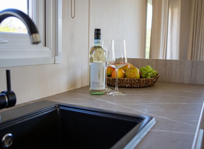 Aussenansicht des Chalets Rhobin in Formerum, Terschelling mit Holzzaun und gruener Umgebung.