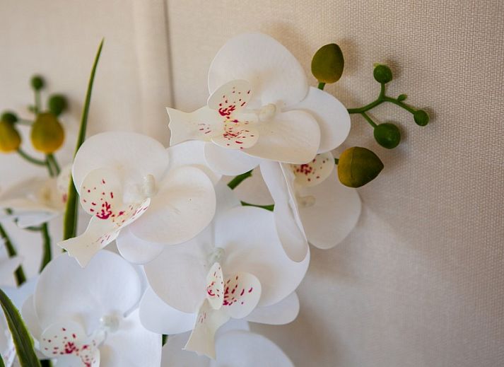 Terrasse mit gemuetlicher Sitzecke im Chalet Rhobin, Formerum, Terschelling.