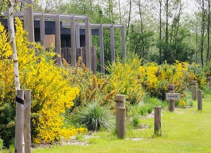 ZONICE chalet in Formerum, Terschelling met moderne veranda en groene tuin in de Waddeneilanden.