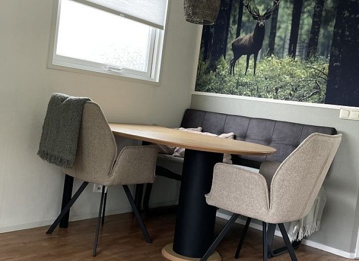 Spacious terrace at Klaver Vier chalet in Formerum, Terschelling, ideal for outdoor dining and enjoying the fresh air.