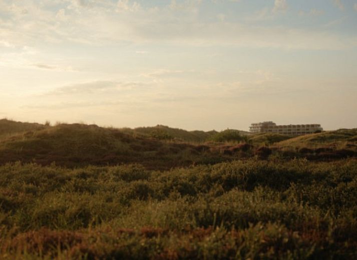 Unterkunft 030260 - Appartement Terschelling - Elements