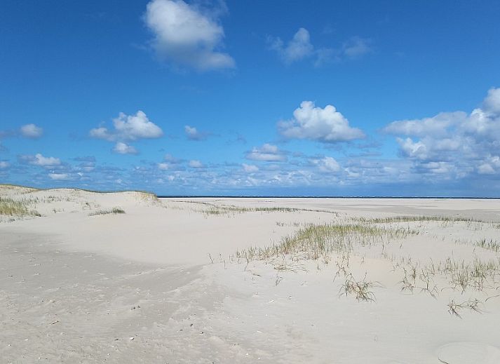 Ruime woonkamer in Heestervin vakantiehuis, Hee, Terschelling met houten interieur