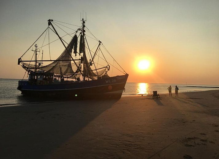 Unterkunft 030427 - Appartement Ameland - Appartement Tjerk