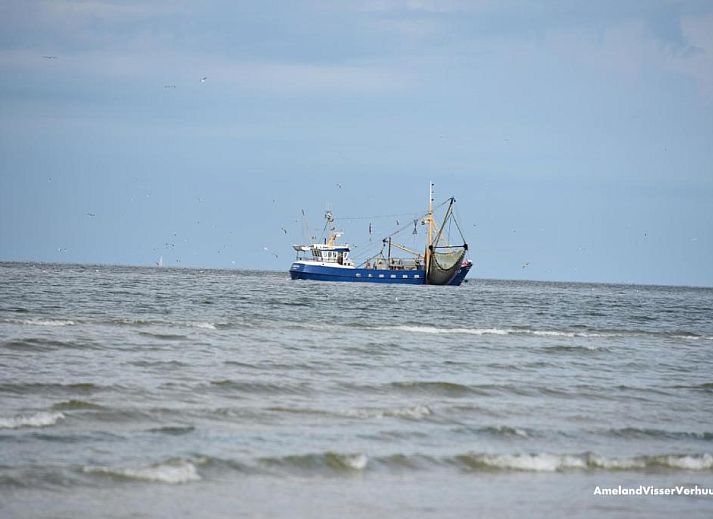 Unterkunft 030427 - Appartement Ameland - Appartement Tjerk