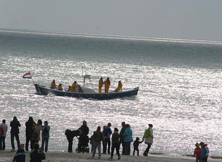 Unterkunft 030427 - Appartement Ameland - Appartement Tjerk