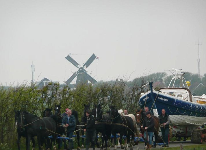 Schwimmbad in Kaapshoff 32, Hollum, Ameland, ideal zum Entspannen.
