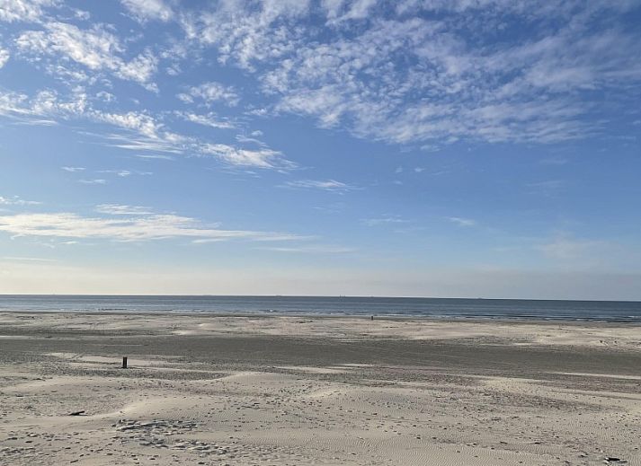 Lichte woonkamer van chalet Wolkenpracht met uitzicht op terras in Halfweg.