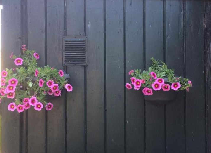 Verblijf 030609 - Vakantiewoning Friese elfsteden - Het Dijk Huisje