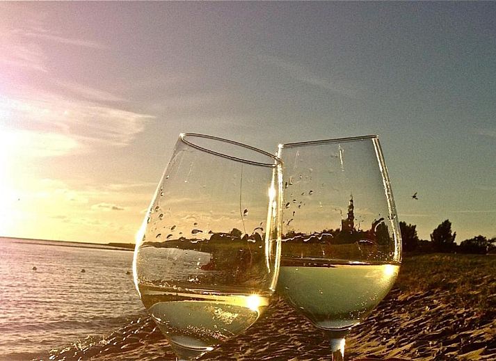 Verblijf 030609 - Vakantiewoning Friese elfsteden - Het Dijk Huisje