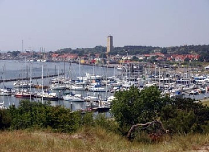 Atemberaubende Aussicht auf die Natur vom Ferienhaus Wadhuske in Oosterend, Terschelling.