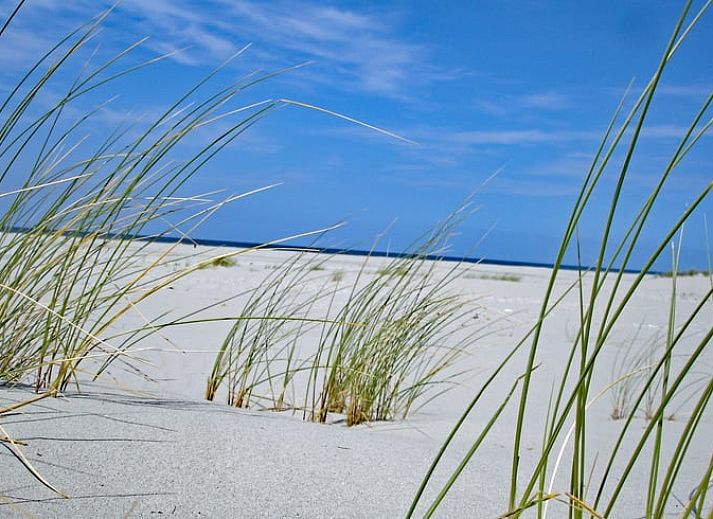 Helles Wohnzimmer des Ferienhauses in Oosterend mit Blick auf die Terrasse, Terschelling, Watteninseln.