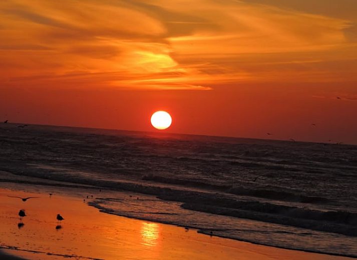 Helles Wohnzimmer des Ferienhauses in Oosterend mit Blick auf die Terrasse, Terschelling, Watteninseln.