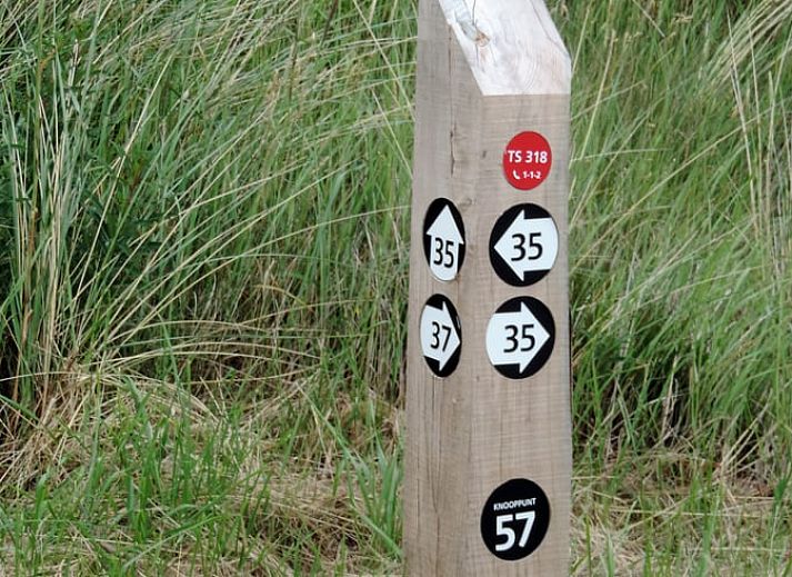 Helles Wohnzimmer des Ferienhauses in Oosterend mit Blick auf die Terrasse, Terschelling, Watteninseln.
