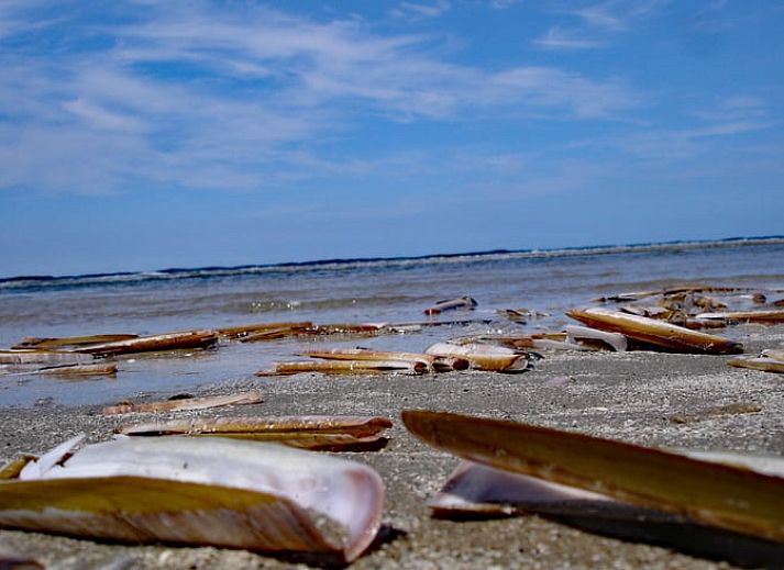 Moderne Kueche im Ferienhaus in Oosterend, Ferienhaus auf Terschelling, Watteninseln.