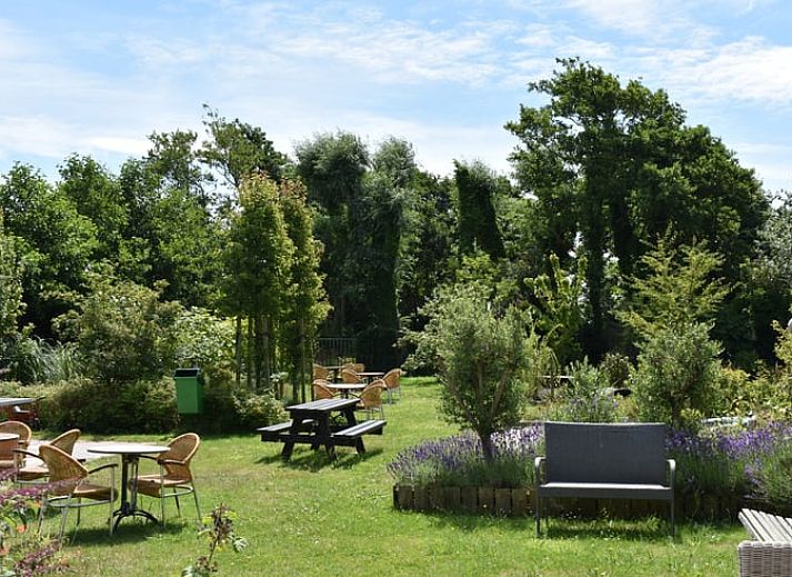 Gemuetliches Wohnzimmer im modern eingerichteten Ferienhaus in Oosterend auf Terschelling.